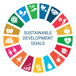Bild der Sustainable Development Goals